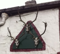 three-stags